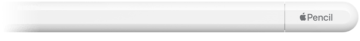 the end of a 3rd generation Apple Pencil (USB-C)