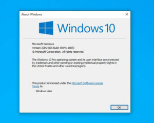 The about box for Microsoft Widows running Windows 10 version 22H2.