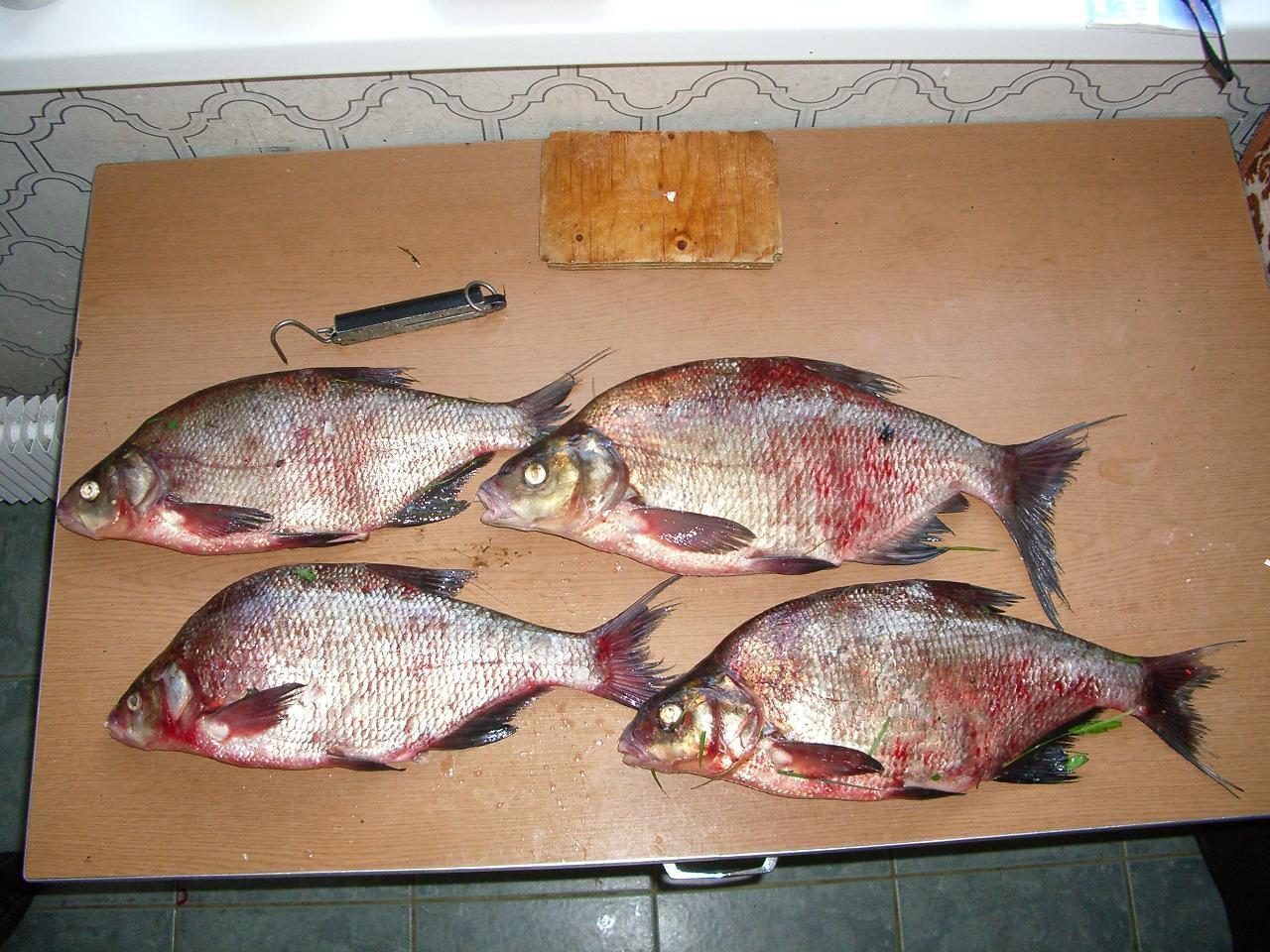 picture of Bream.