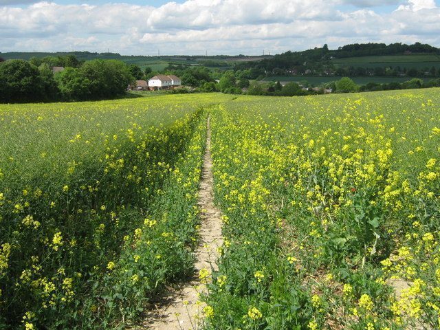 picture of Eynsford.