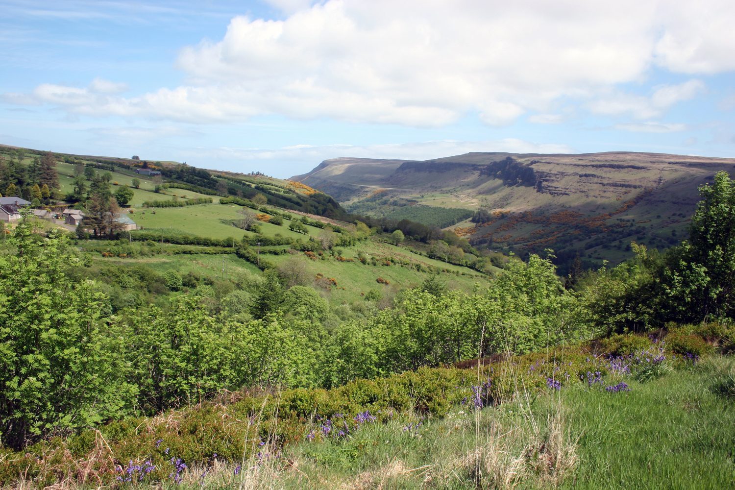 picture of Glenariff.