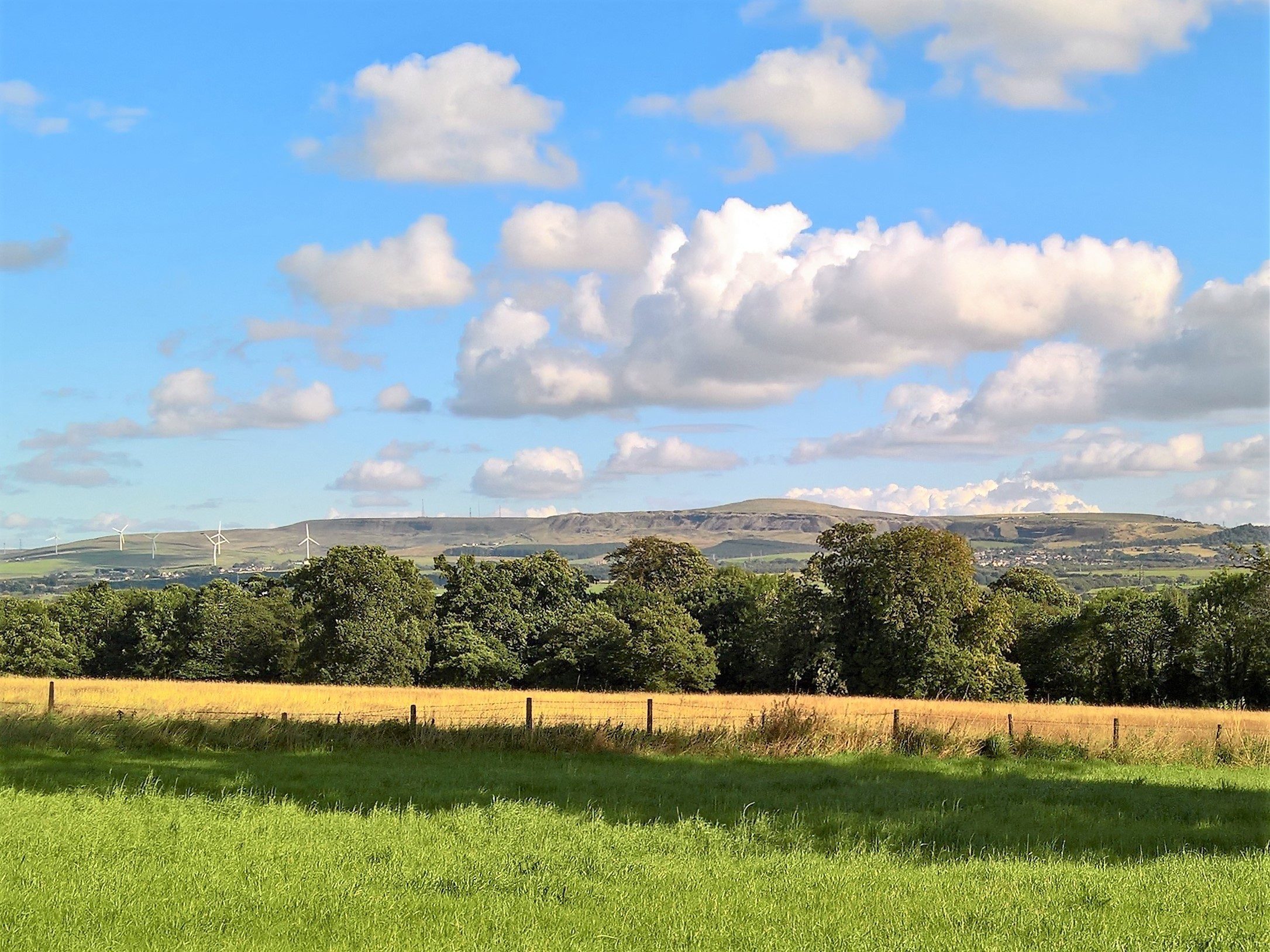 picture of Hameldon Hill.