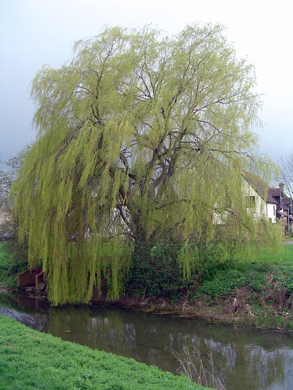 picture of Alconbury.